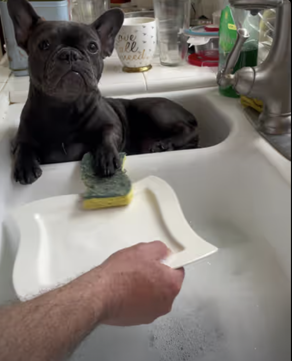 Eco-Friendly Dishwasher Machine !